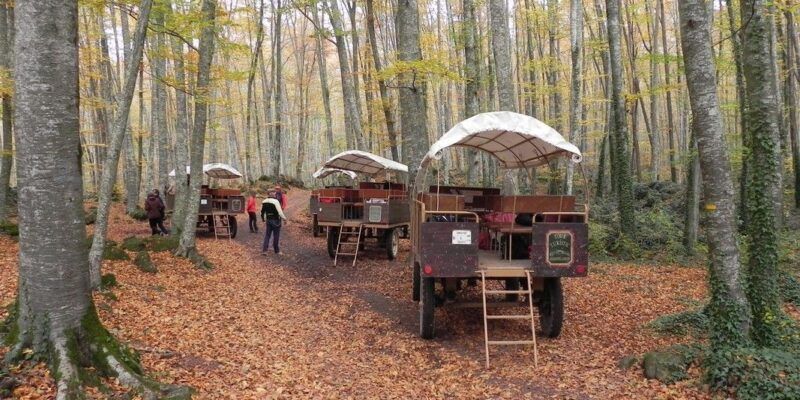 Carruatges Fageda d'en Jordà GRUPS